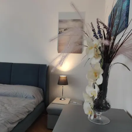 Free Style Apartment 基亚瓦里